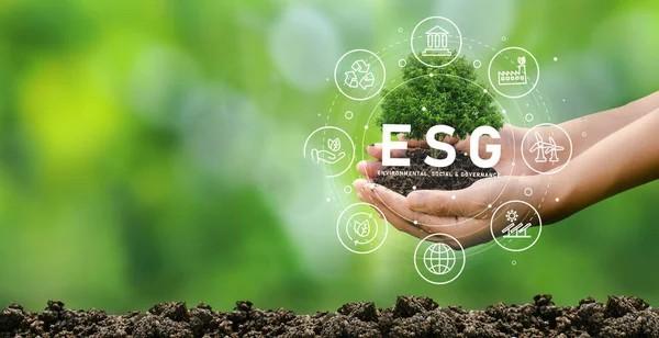ESG (Environmental, Social and Governance)