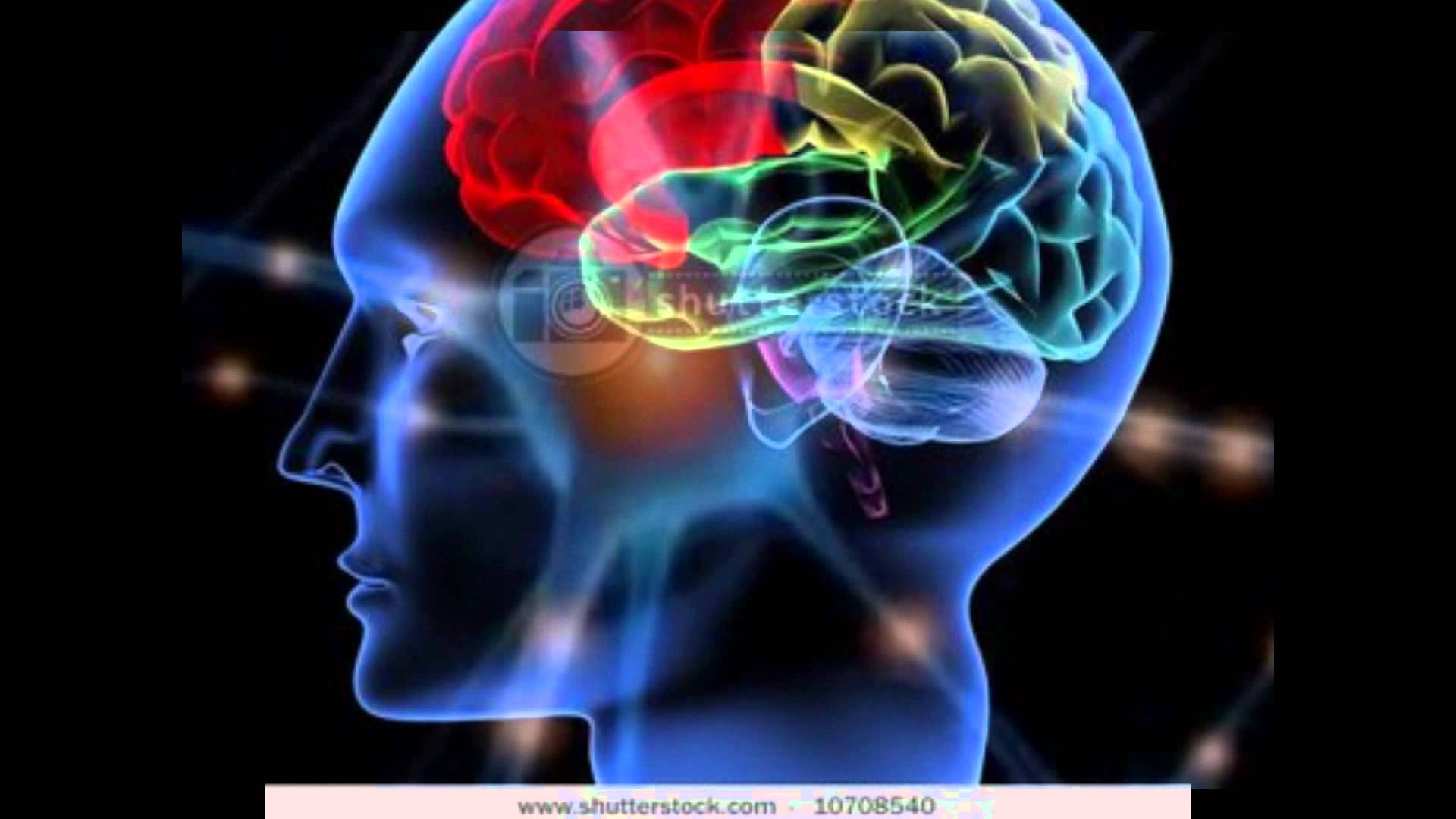 NEUROCIÊNCIA E NEUROPSICOLOGIA